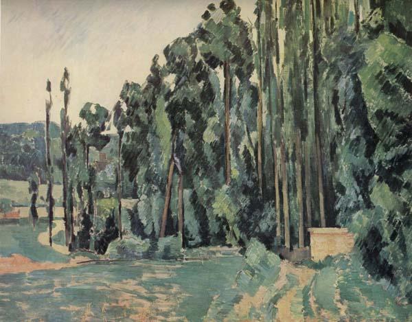 Paul Cezanne The Poplars China oil painting art